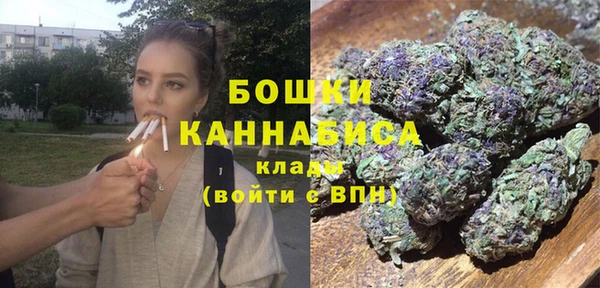 прущие грибы Абдулино
