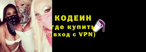 индика Абинск