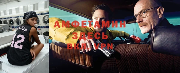 метадон Алексин