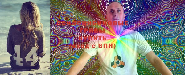прущие грибы Абдулино