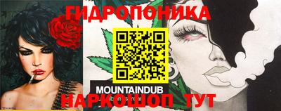 mdpv Кимры