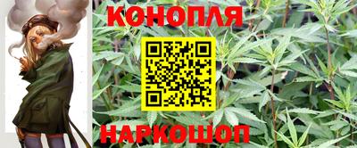 эйфоретик Кингисепп