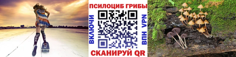 купить наркоту Кумертау Галлюциногенные грибы GOLDEN TEACHER